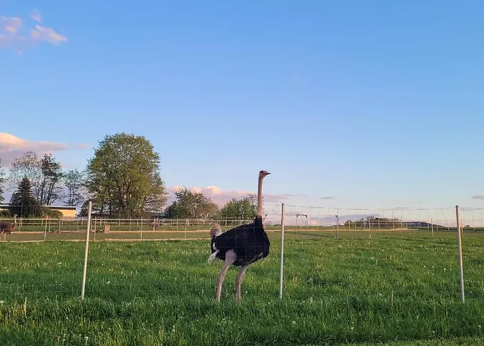 Lejlighed Hillehof Ostrau