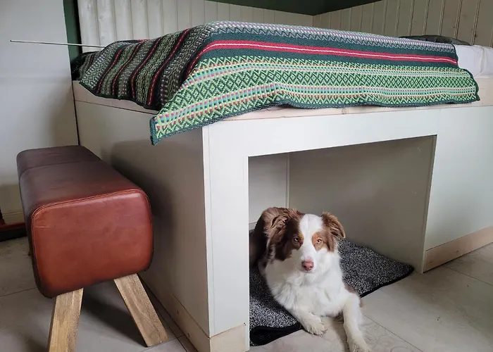 Hillehof Ostrau Lejlighed *